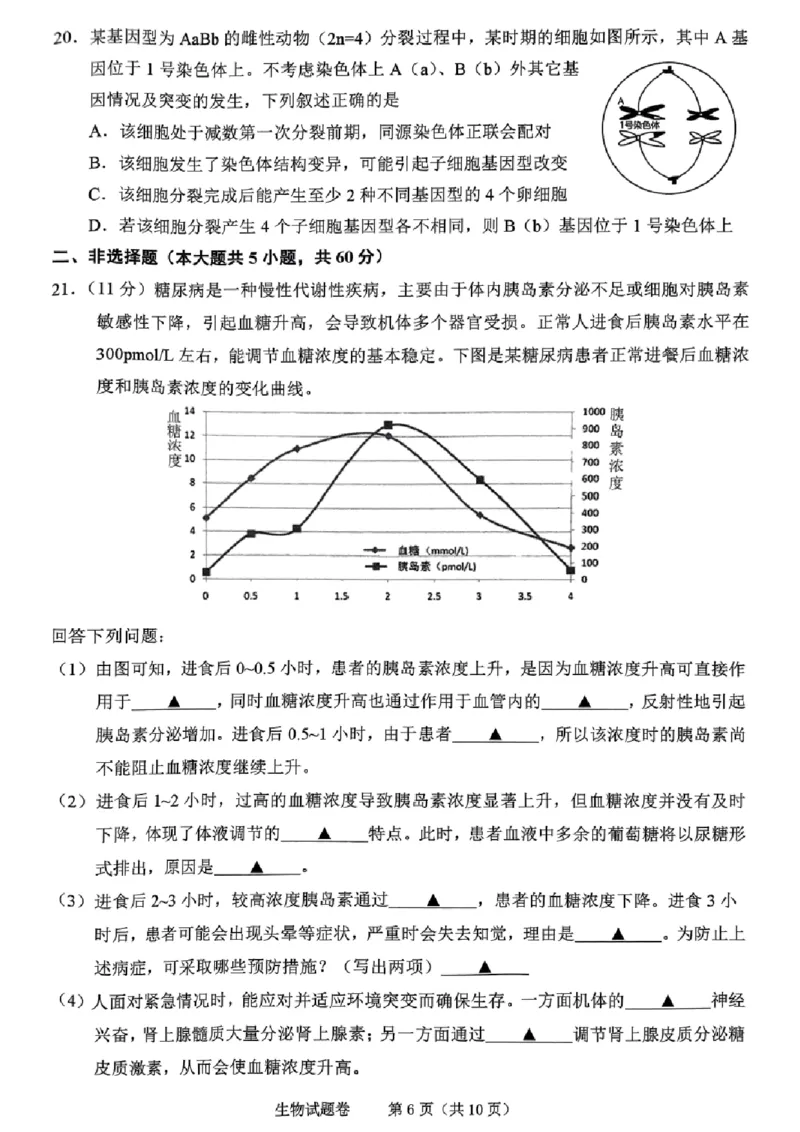 生物试卷_2024-2025高三（6-6月题库）_2024年11月试卷_1109浙江省绍兴市一模2024-2025学年11月诊断考试_绍兴市一模生物