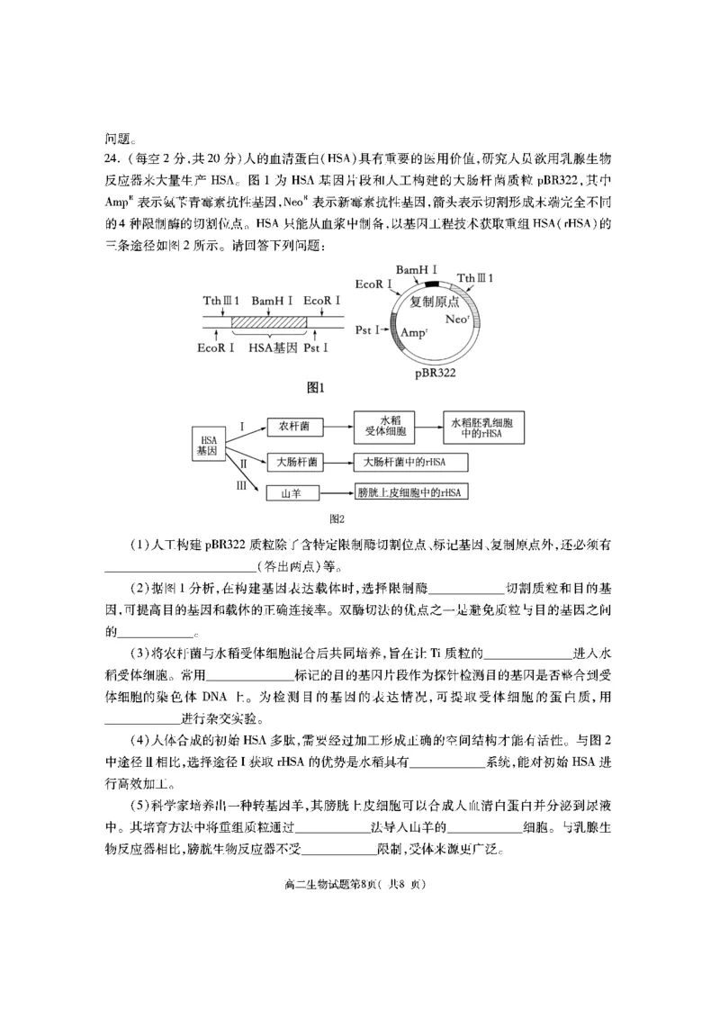 陕西省渭南市大荔县2023-2024学年高二下学期期末质量检测+生物_2024-2025高二（7-7月题库）_2024年07月试卷_0724陕西省渭南市大荔县2023-2024学年高二下学期期末质量检测