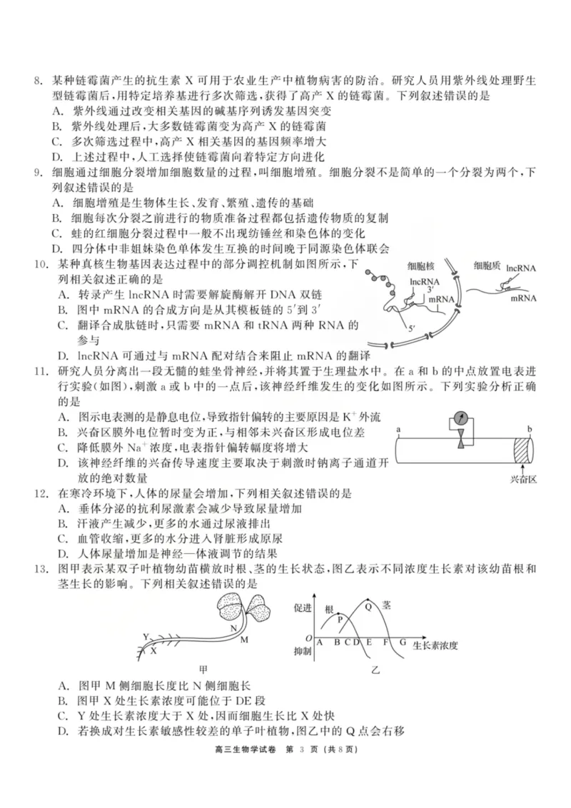 龙江教育联盟2026年1月高三上学期期末考试生物_2024-2026高三（6-6月题库）_2026年01月高三试卷_0115黑龙江省龙江教育联盟2026年1月高三上学期期末考试