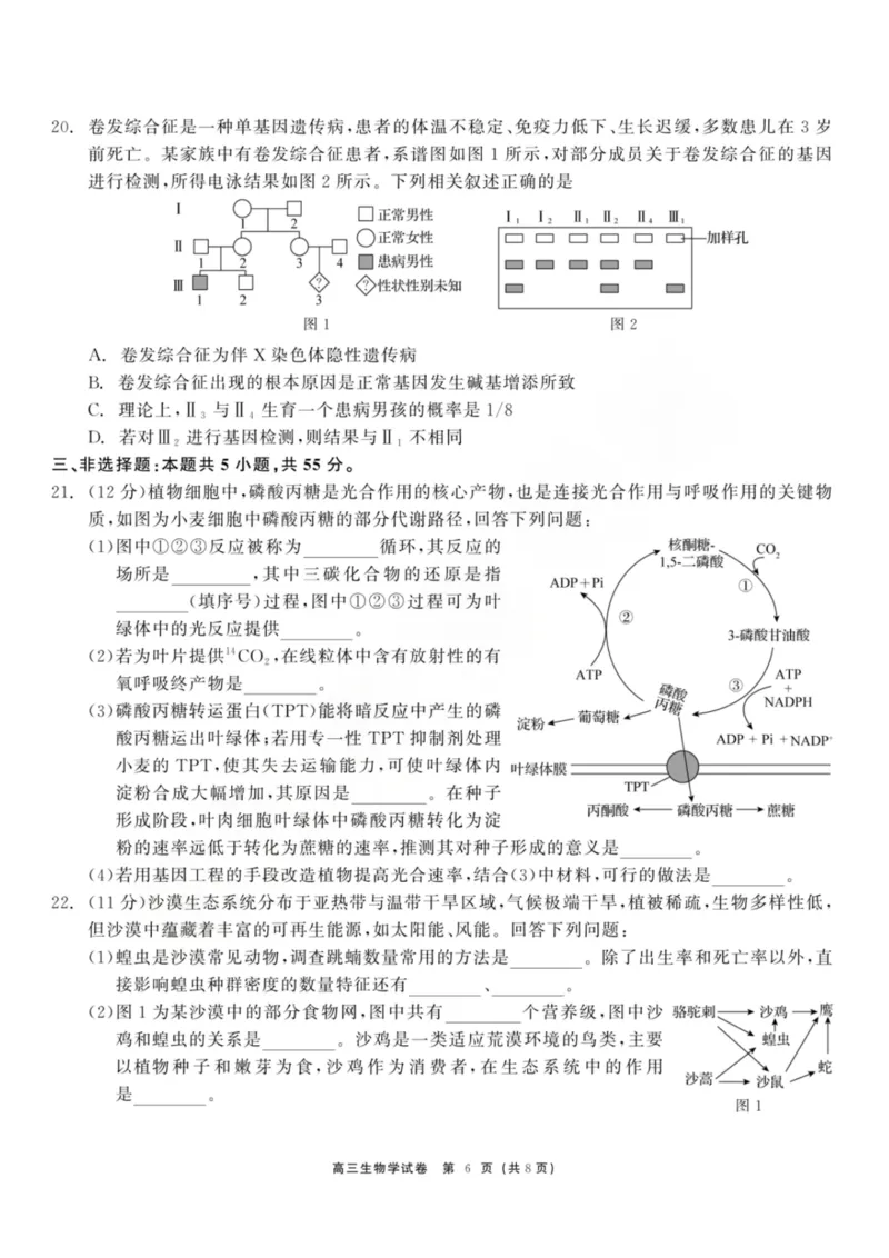 龙江教育联盟2026年1月高三上学期期末考试生物_2024-2026高三（6-6月题库）_2026年01月高三试卷_0115黑龙江省龙江教育联盟2026年1月高三上学期期末考试