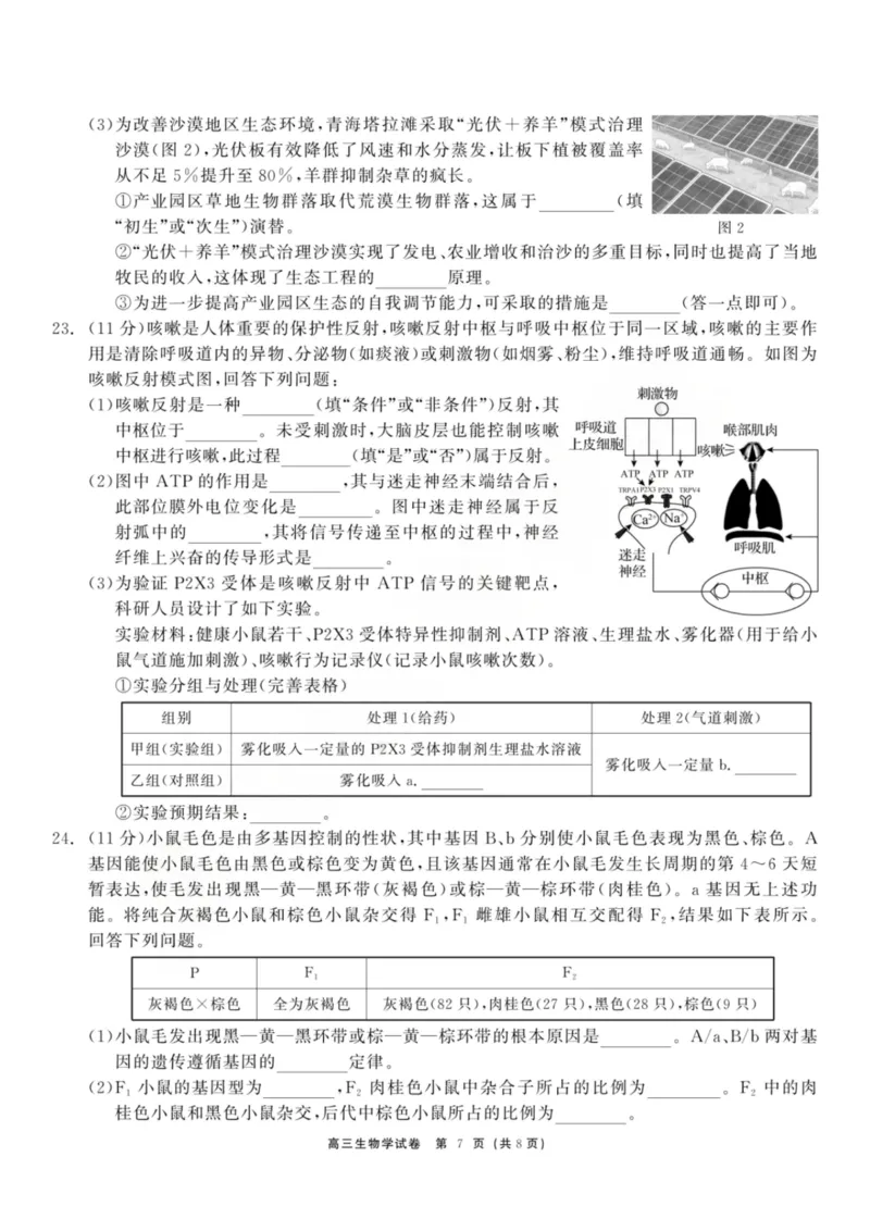 龙江教育联盟2026年1月高三上学期期末考试生物_2024-2026高三（6-6月题库）_2026年01月高三试卷_0115黑龙江省龙江教育联盟2026年1月高三上学期期末考试