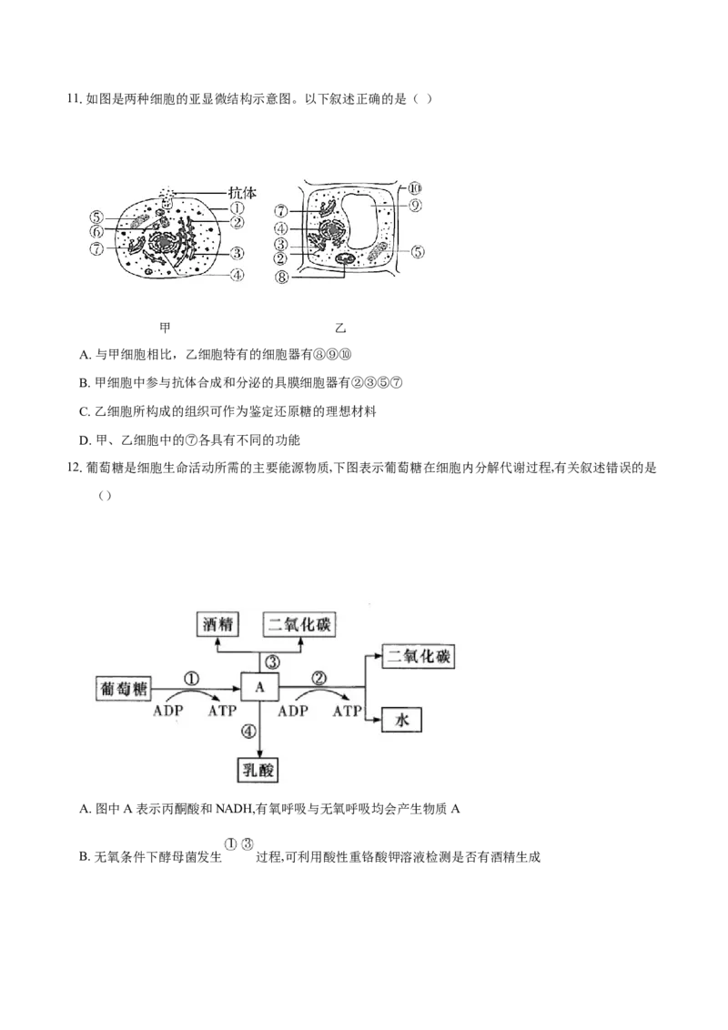 重庆市长寿区长寿中学校2024-2025学年高三上学期开学生物试题（含答案）_2024-2025高三（6-6月题库）_2024年09月试卷_0908重庆市长寿中学校2024-2025学年高三上学期开学考试