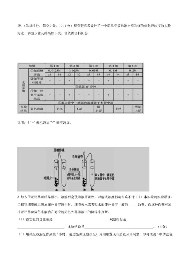重庆市长寿区长寿中学校2024-2025学年高三上学期开学生物试题（含答案）_2024-2025高三（6-6月题库）_2024年09月试卷_0908重庆市长寿中学校2024-2025学年高三上学期开学考试