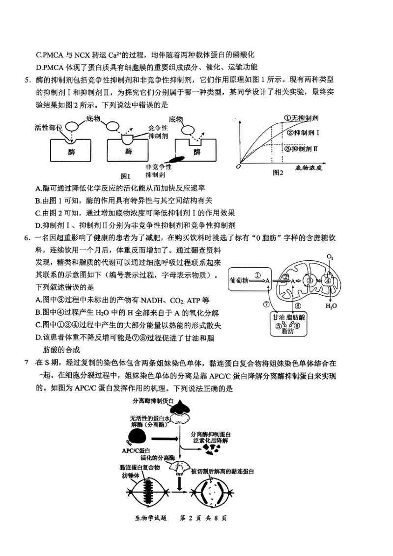 宜宾市普通高中2023级第一次诊断性测试生物_2024-2026高三（6-6月题库）_2026年01月高三试卷_0114四川省宜宾市普通高中2023级第一次诊断性测试（宜宾一诊）