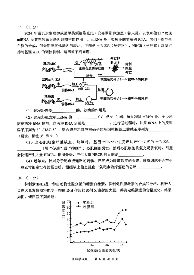 宜宾市普通高中2023级第一次诊断性测试生物_2024-2026高三（6-6月题库）_2026年01月高三试卷_0114四川省宜宾市普通高中2023级第一次诊断性测试（宜宾一诊）