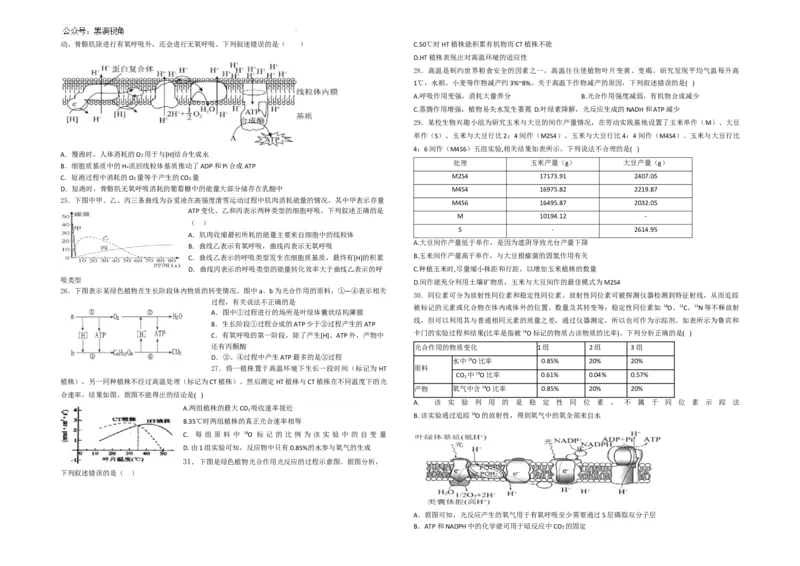 生物--2024-2025学年第一学期高三第一次月考试卷（8月）学生卷--2024-2025学年第一学期高三生物第一次月考试卷（8月）_2024-2025高三（6-6月题库）_2024年08月试卷