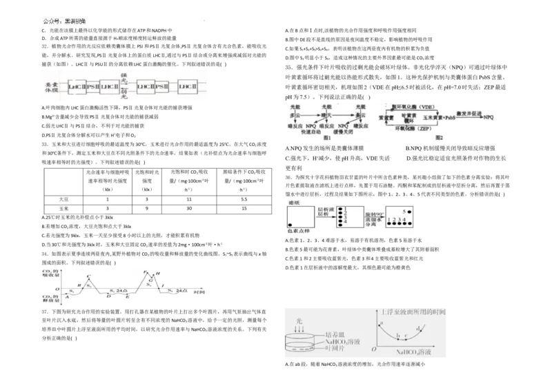 生物--2024-2025学年第一学期高三第一次月考试卷（8月）学生卷--2024-2025学年第一学期高三生物第一次月考试卷（8月）_2024-2025高三（6-6月题库）_2024年08月试卷