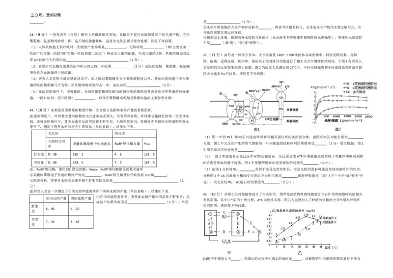 生物--2024-2025学年第一学期高三第一次月考试卷（8月）学生卷--2024-2025学年第一学期高三生物第一次月考试卷（8月）_2024-2025高三（6-6月题库）_2024年08月试卷