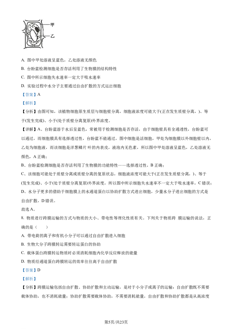 精品解析：山东省潍坊市2023-2024学年高二下学期期末考试生物试卷（解析版）_2024-2025高三（6-6月题库）_2024年07月试卷_240712山东省潍坊市2024年7月高二年级下学期期末学习质量检测