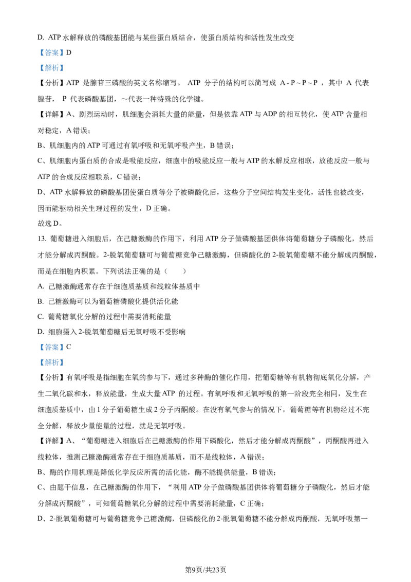 精品解析：山东省潍坊市2023-2024学年高二下学期期末考试生物试卷（解析版）_2024-2025高三（6-6月题库）_2024年07月试卷_240712山东省潍坊市2024年7月高二年级下学期期末学习质量检测