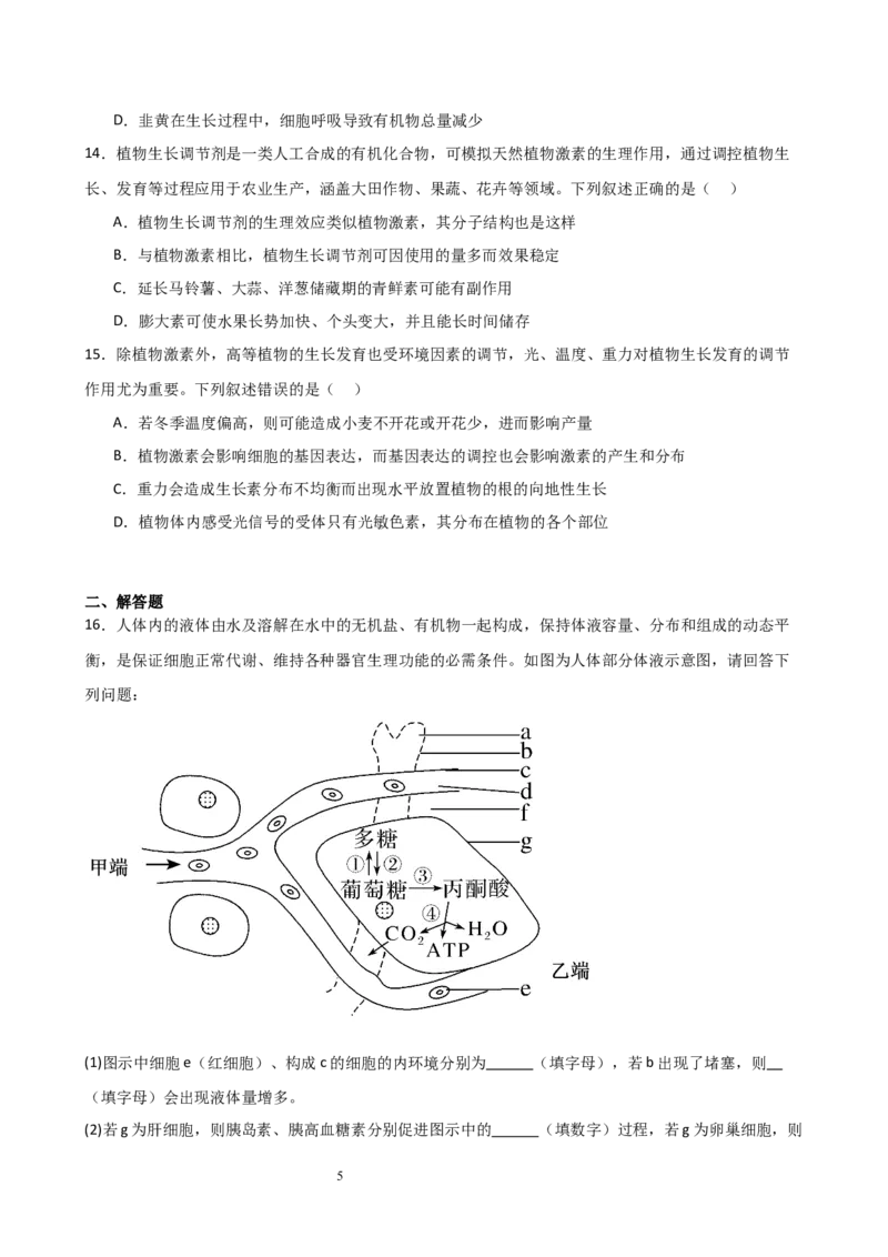生物试题_2024-2025高二（7-7月题库）_2026年1月高二_260116安徽省A10联盟2025-2026学年高二上学期12月学情检测_安徽省A10联盟2025-2026学年高二上学期12月学情检测-生物（Word版）