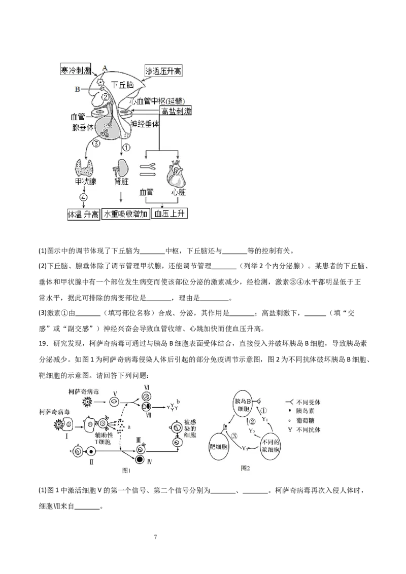 生物试题_2024-2025高二（7-7月题库）_2026年1月高二_260116安徽省A10联盟2025-2026学年高二上学期12月学情检测_安徽省A10联盟2025-2026学年高二上学期12月学情检测-生物（Word版）
