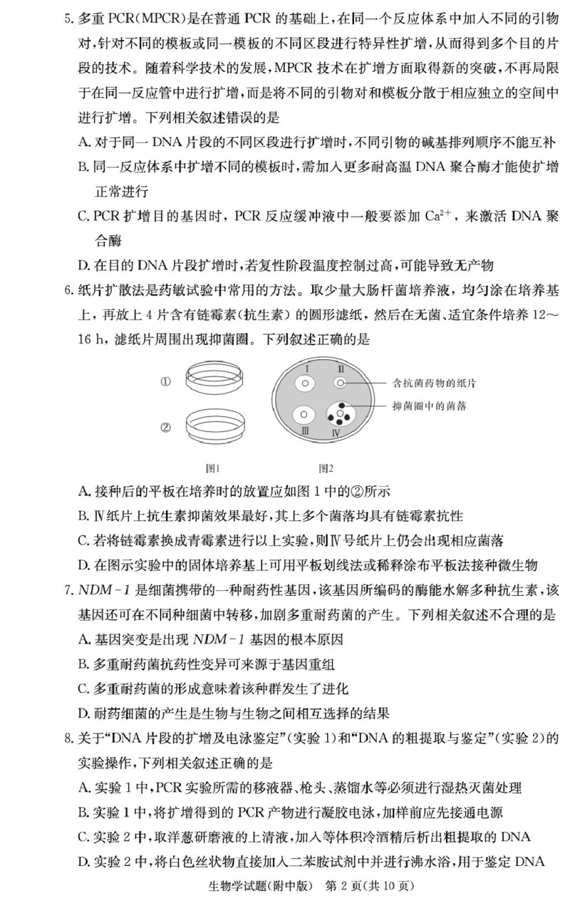 湖南省长沙市湖南师范大学附属中学2024-2025学年高三上学期月考卷（四）生物试题_2024-2025高三（6-6月题库）_2024年12月试卷