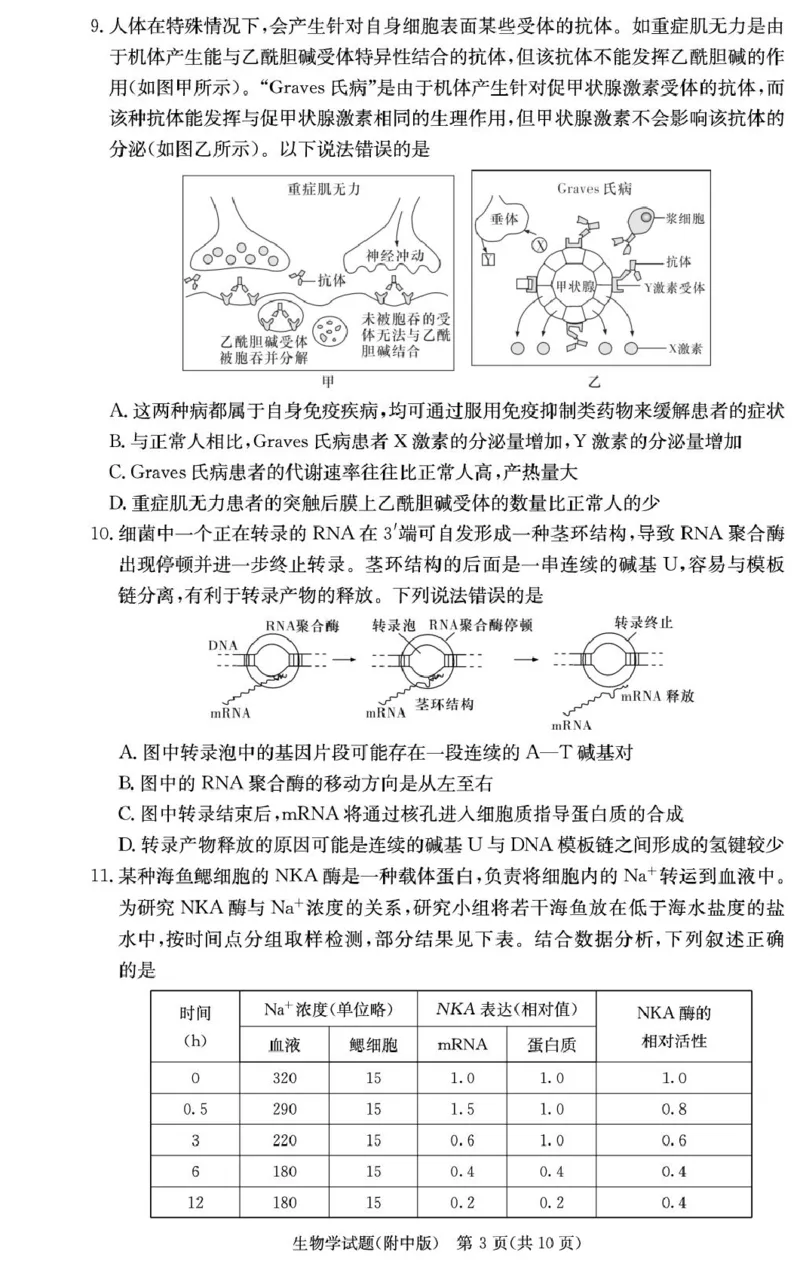 湖南省长沙市湖南师范大学附属中学2024-2025学年高三上学期月考卷（四）生物试题_2024-2025高三（6-6月题库）_2024年12月试卷