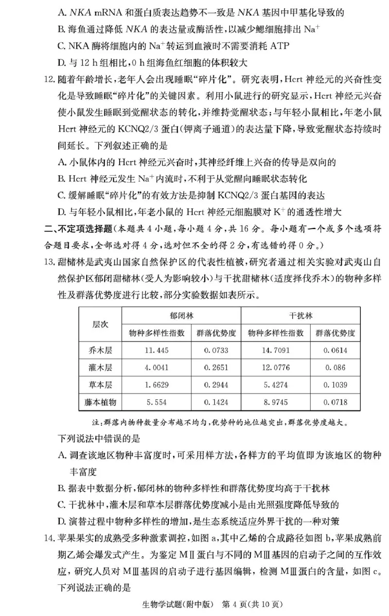 湖南省长沙市湖南师范大学附属中学2024-2025学年高三上学期月考卷（四）生物试题_2024-2025高三（6-6月题库）_2024年12月试卷