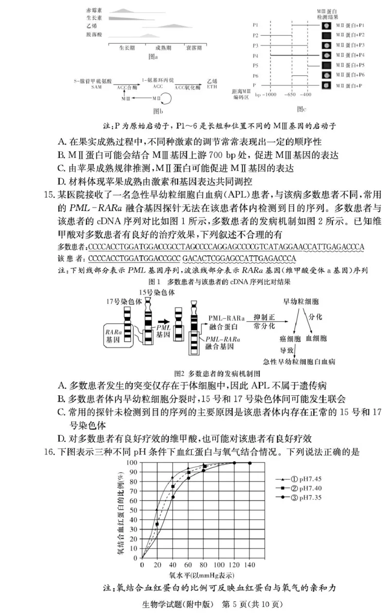湖南省长沙市湖南师范大学附属中学2024-2025学年高三上学期月考卷（四）生物试题_2024-2025高三（6-6月题库）_2024年12月试卷