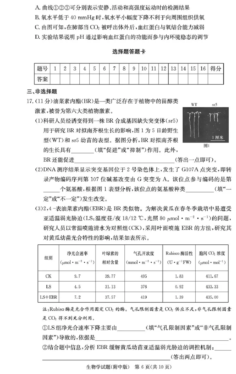 湖南省长沙市湖南师范大学附属中学2024-2025学年高三上学期月考卷（四）生物试题_2024-2025高三（6-6月题库）_2024年12月试卷