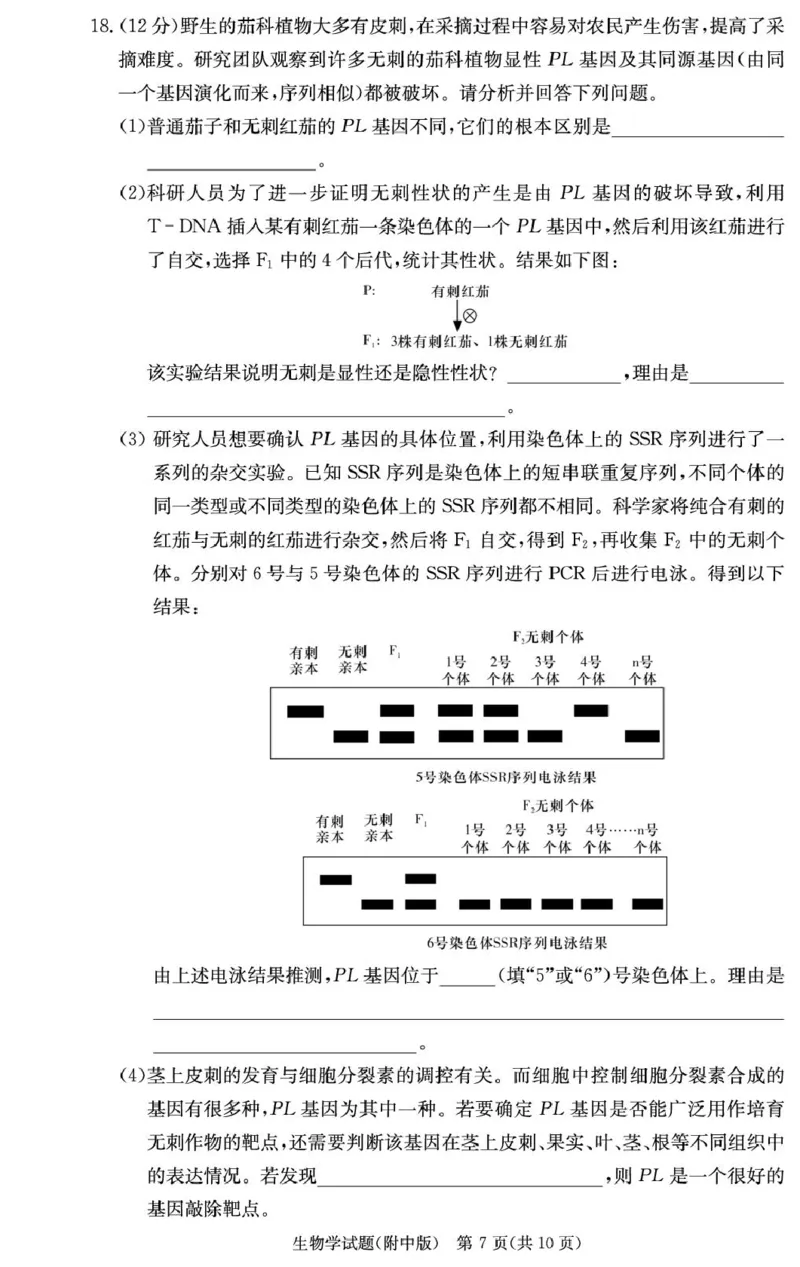 湖南省长沙市湖南师范大学附属中学2024-2025学年高三上学期月考卷（四）生物试题_2024-2025高三（6-6月题库）_2024年12月试卷