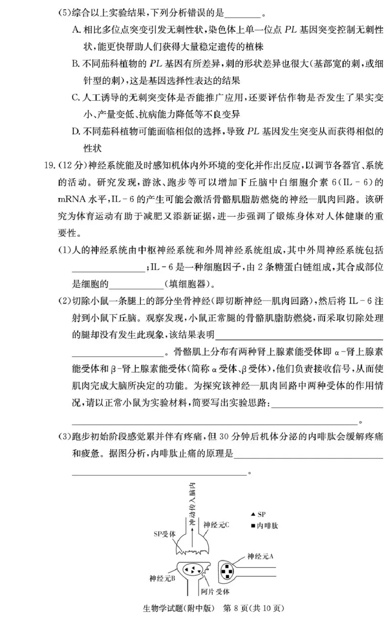 湖南省长沙市湖南师范大学附属中学2024-2025学年高三上学期月考卷（四）生物试题_2024-2025高三（6-6月题库）_2024年12月试卷