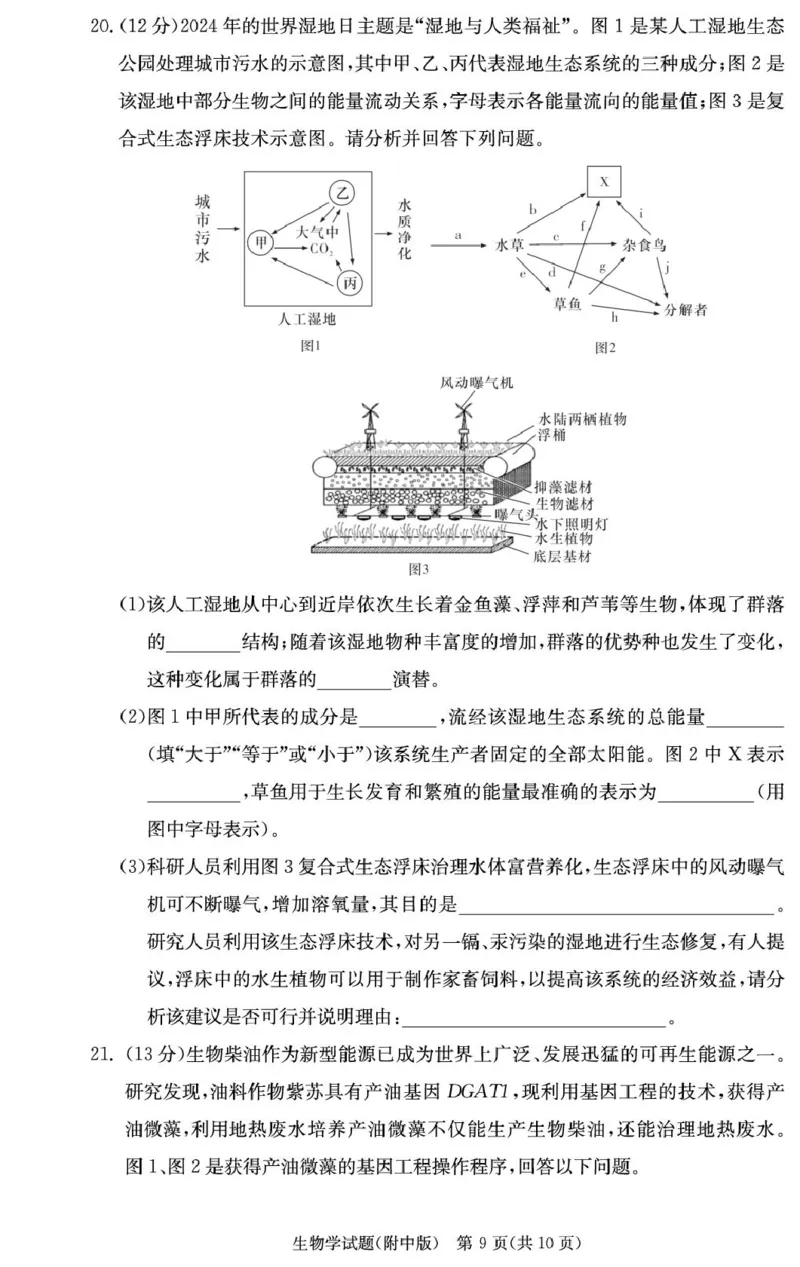 湖南省长沙市湖南师范大学附属中学2024-2025学年高三上学期月考卷（四）生物试题_2024-2025高三（6-6月题库）_2024年12月试卷