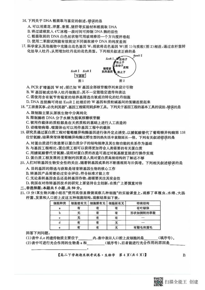 生物_2024-2025高三（6-6月题库）_2024年07月试卷_240712河南省商丘市商师联盟2023-2024学年高二下学期7月期末_河南省商丘市商师联盟2023-2024学年高二下学期7月期末生物