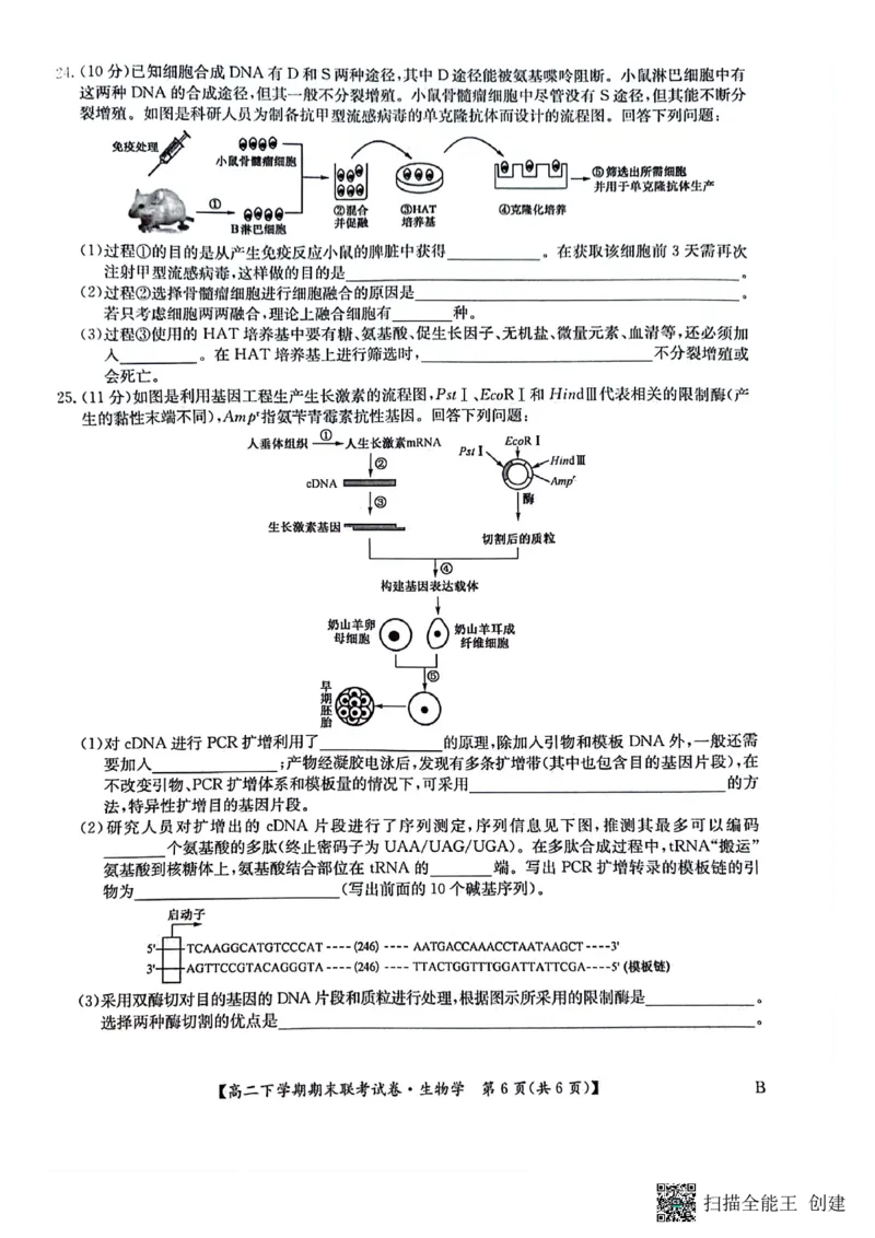生物_2024-2025高三（6-6月题库）_2024年07月试卷_240712河南省商丘市商师联盟2023-2024学年高二下学期7月期末_河南省商丘市商师联盟2023-2024学年高二下学期7月期末生物