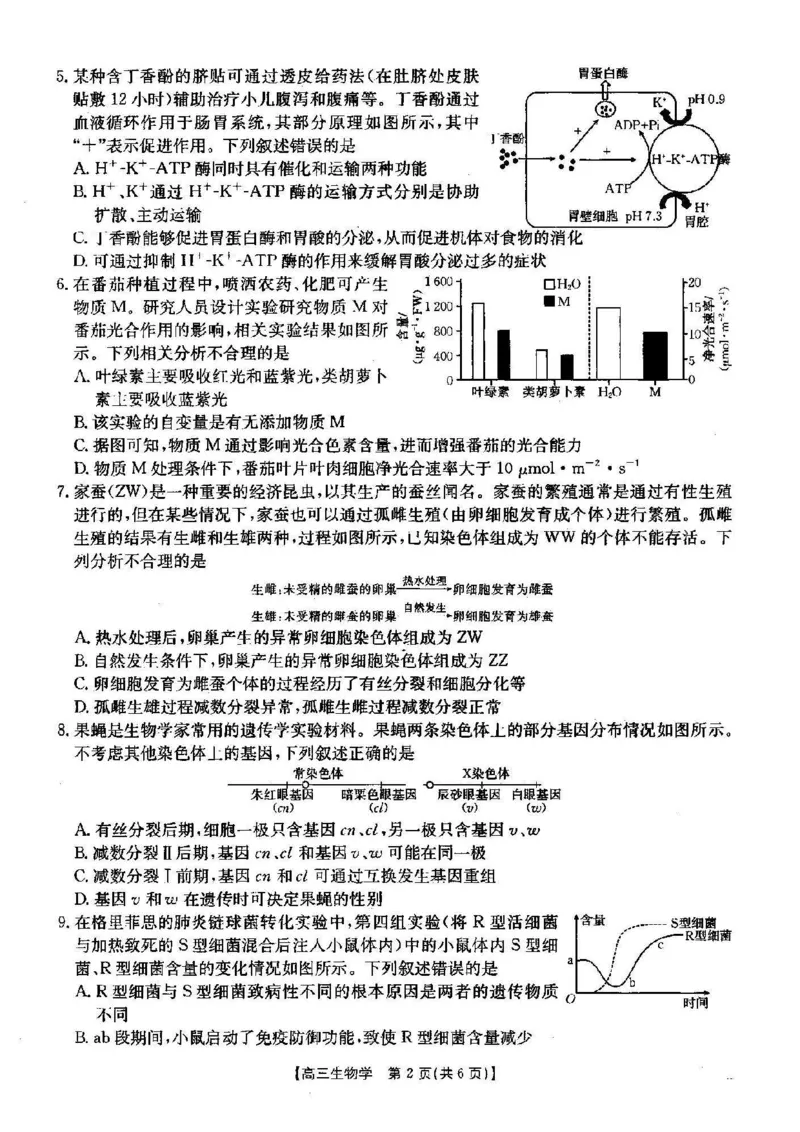 生物_2024-2025高三（6-6月题库）_2024年12月试卷_1209湖北省2024-2025学年高三金太阳12月联考（187C）（全科）_湖北省2024-2025学年高三上学期12月联考生物