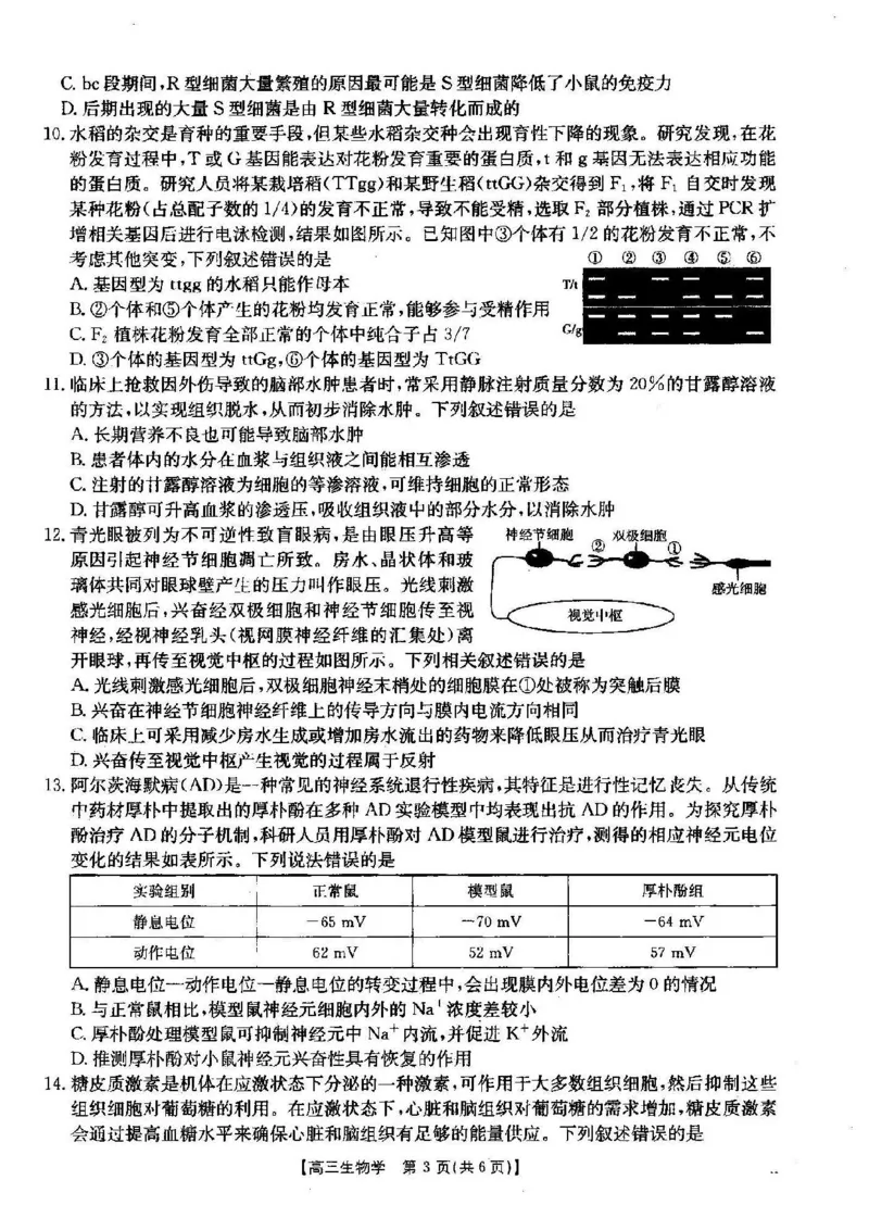 生物_2024-2025高三（6-6月题库）_2024年12月试卷_1209湖北省2024-2025学年高三金太阳12月联考（187C）（全科）_湖北省2024-2025学年高三上学期12月联考生物