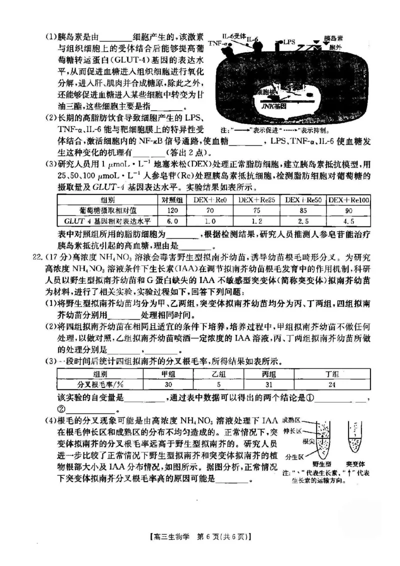 生物_2024-2025高三（6-6月题库）_2024年12月试卷_1209湖北省2024-2025学年高三金太阳12月联考（187C）（全科）_湖北省2024-2025学年高三上学期12月联考生物