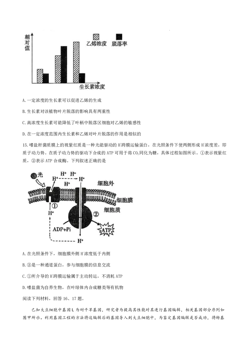 浙江省稽阳联谊学校2024-2025学年高三上学期11月月考生物试题_2024-2025高三（6-6月题库）_2024年11月试卷_1128浙江省稽阳联谊学校2024-2025学年高三上学期11月联考（全科）