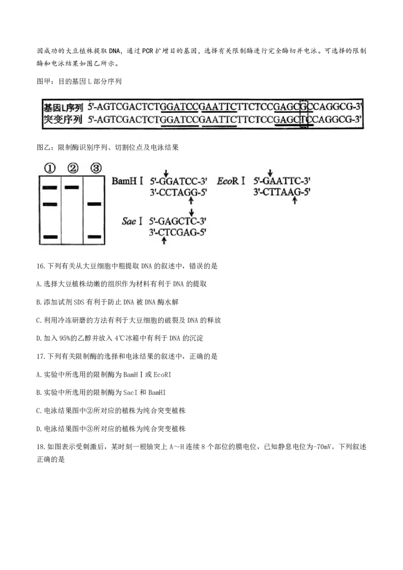 浙江省稽阳联谊学校2024-2025学年高三上学期11月月考生物试题_2024-2025高三（6-6月题库）_2024年11月试卷_1128浙江省稽阳联谊学校2024-2025学年高三上学期11月联考（全科）