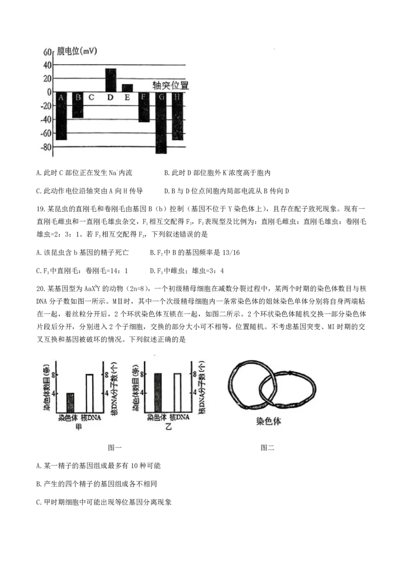 浙江省稽阳联谊学校2024-2025学年高三上学期11月月考生物试题_2024-2025高三（6-6月题库）_2024年11月试卷_1128浙江省稽阳联谊学校2024-2025学年高三上学期11月联考（全科）