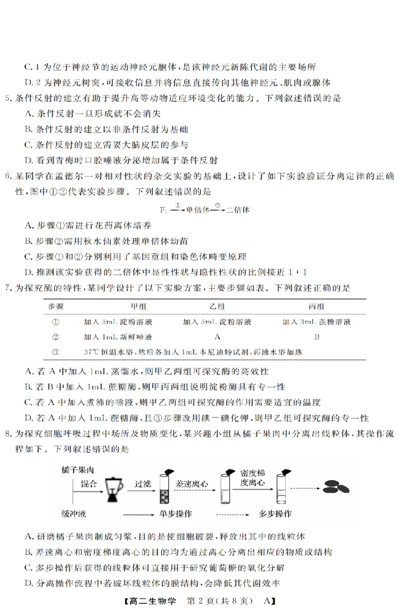 生物-浙江省强基联盟2025-2026学年高二上学期10月联考A卷_2025年10月高二试卷_251021浙江省强基联盟2025-2026学年高二上学期10月联考A卷