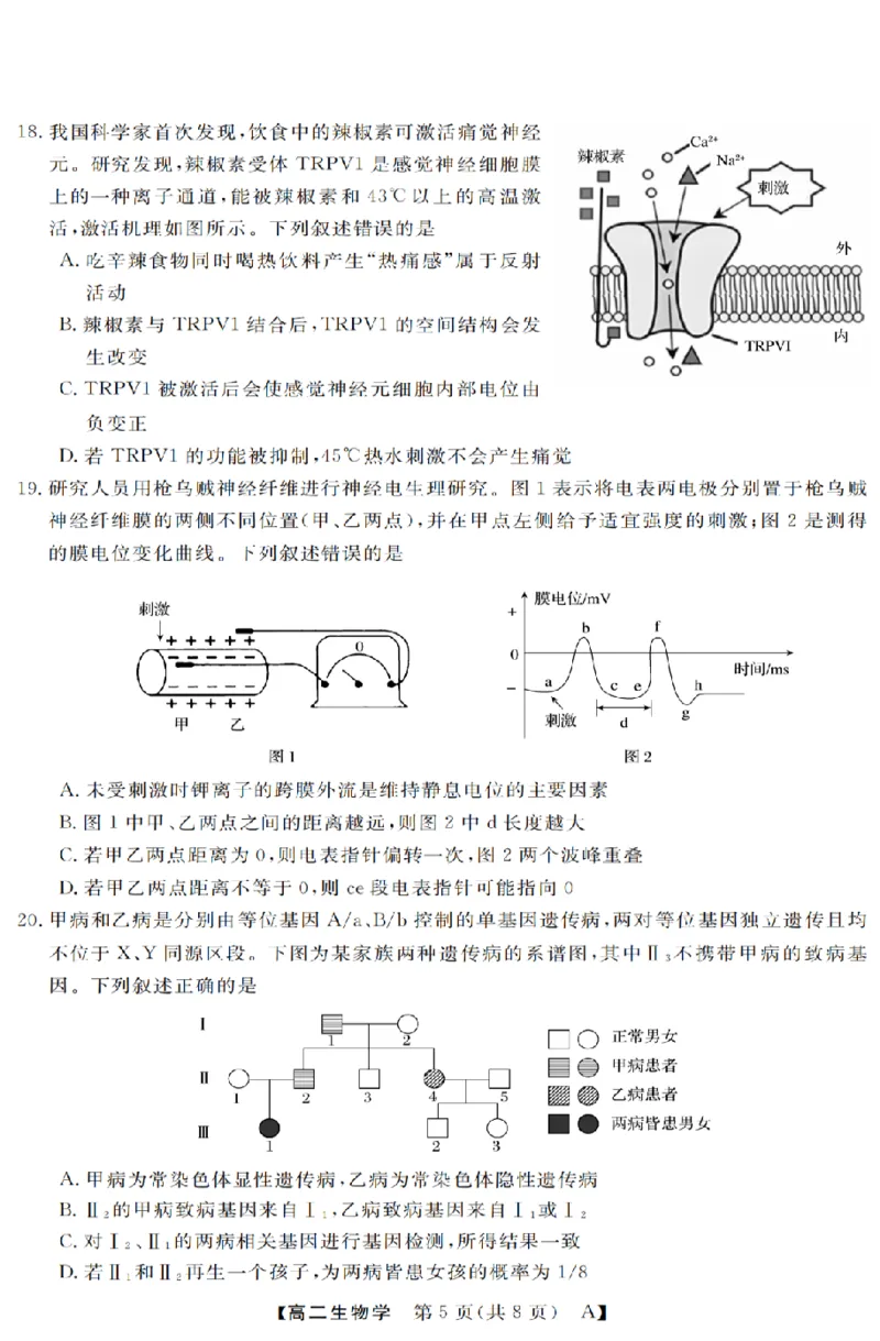 生物-浙江省强基联盟2025-2026学年高二上学期10月联考A卷_2025年10月高二试卷_251021浙江省强基联盟2025-2026学年高二上学期10月联考A卷