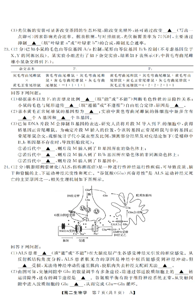生物-浙江省强基联盟2025-2026学年高二上学期10月联考A卷_2025年10月高二试卷_251021浙江省强基联盟2025-2026学年高二上学期10月联考A卷