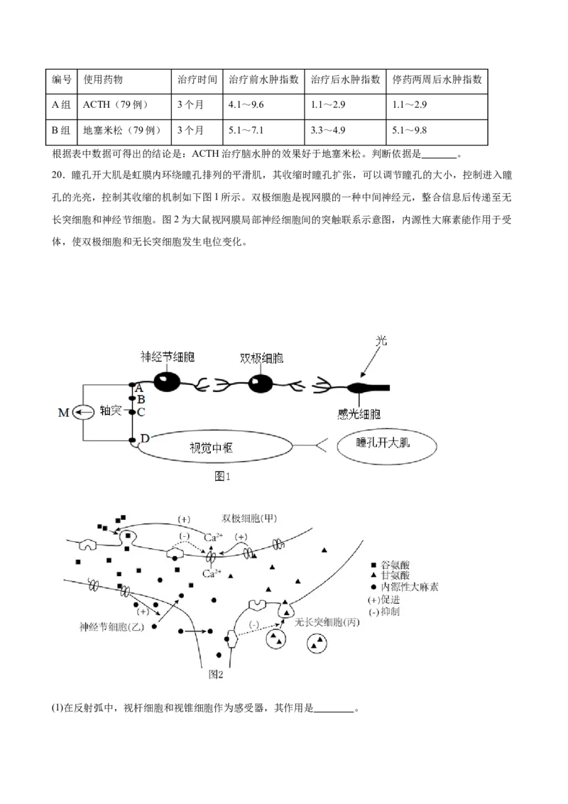 重庆市名校联盟2025-2026学年高二上学期第一次联合考试（11月期中）生物试卷（含答案）_251208重庆市名校联盟2025-2026学年高二上学期11月期中联考（全）
