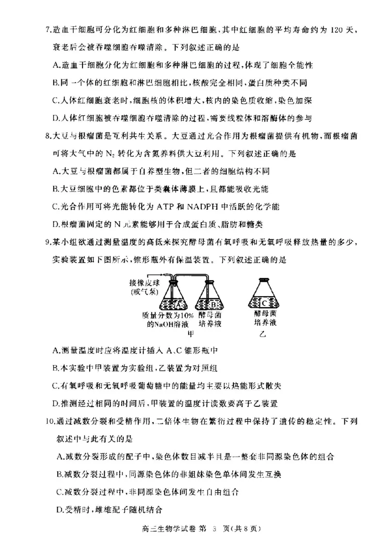 湖北省部分高中2024-2025学年高三上学期11月期中联考生物试题_2024-2025高三（6-6月题库）_2024年11月试卷_1105湖北省2024年秋季普通高中11月份高三年级阶段性联考（鄂东南协作体）_生物