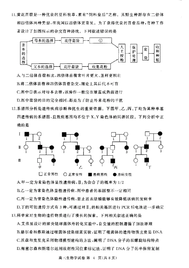 湖北省部分高中2024-2025学年高三上学期11月期中联考生物试题_2024-2025高三（6-6月题库）_2024年11月试卷_1105湖北省2024年秋季普通高中11月份高三年级阶段性联考（鄂东南协作体）_生物