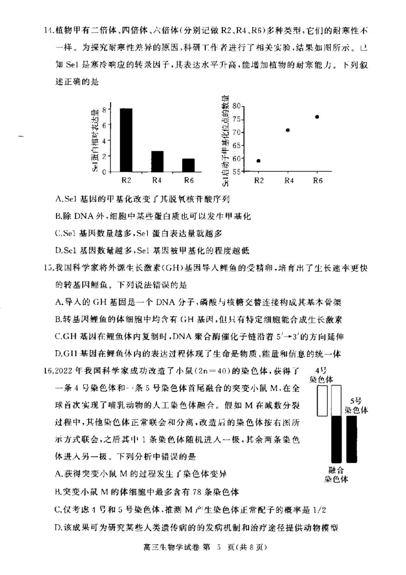 湖北省部分高中2024-2025学年高三上学期11月期中联考生物试题_2024-2025高三（6-6月题库）_2024年11月试卷_1105湖北省2024年秋季普通高中11月份高三年级阶段性联考（鄂东南协作体）_生物
