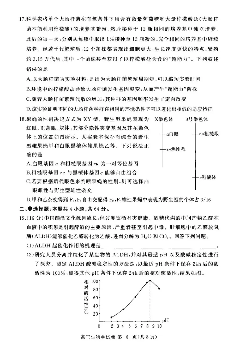 湖北省部分高中2024-2025学年高三上学期11月期中联考生物试题_2024-2025高三（6-6月题库）_2024年11月试卷_1105湖北省2024年秋季普通高中11月份高三年级阶段性联考（鄂东南协作体）_生物