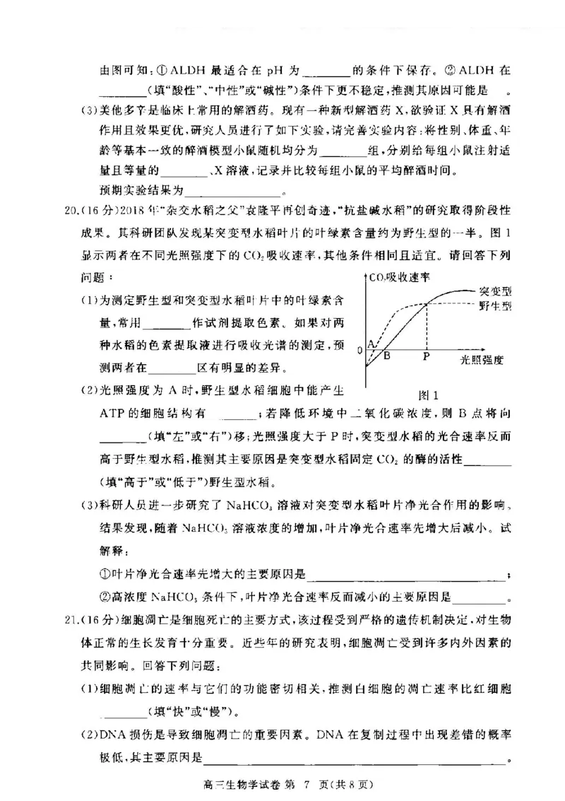 湖北省部分高中2024-2025学年高三上学期11月期中联考生物试题_2024-2025高三（6-6月题库）_2024年11月试卷_1105湖北省2024年秋季普通高中11月份高三年级阶段性联考（鄂东南协作体）_生物