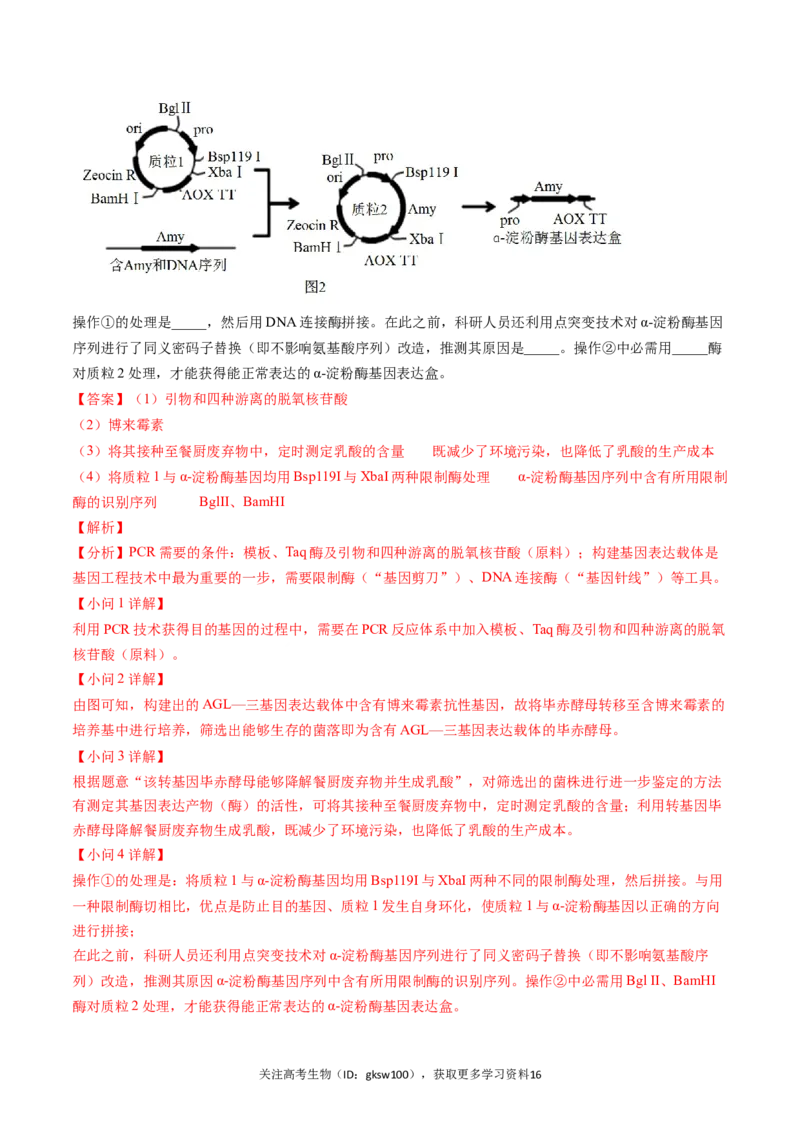高三生物开学摸底考（贵州、安徽、甘肃适用，16+5题型）（解析版）_2024年4月_其他_2023-2024学年高三下学期开学摸底考试卷_2023-2024学年高三生物下学期开学摸底考试卷
