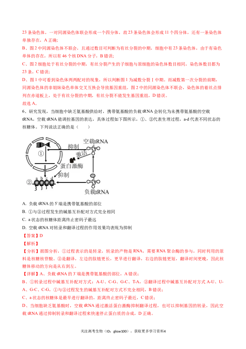 高三生物开学摸底考（贵州、安徽、甘肃适用，16+5题型）（解析版）_2024年4月_其他_2023-2024学年高三下学期开学摸底考试卷_2023-2024学年高三生物下学期开学摸底考试卷