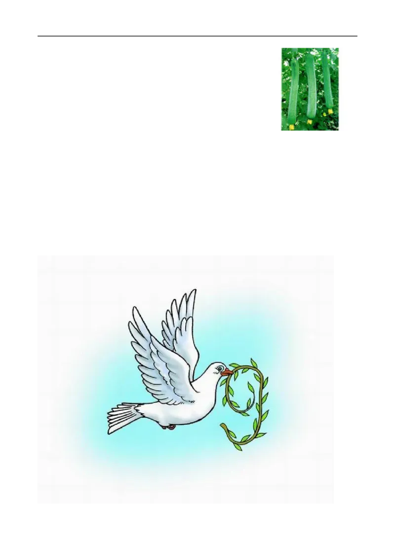 新人教版一年级语文上册第3单元试卷(1)_小学1-6年级全部试卷_语文_一年级_3-6-1、小学一年级语文上册_3-6-1-2、练习题、作业、试题、试卷_人教版