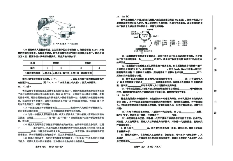 高三生物（汉）8开_2024年2月_01每日更新_27号_2024届吉林省延边州高三教学质量检测（一模）_2024届吉林省延边州高三教学质量检测（一模）生物