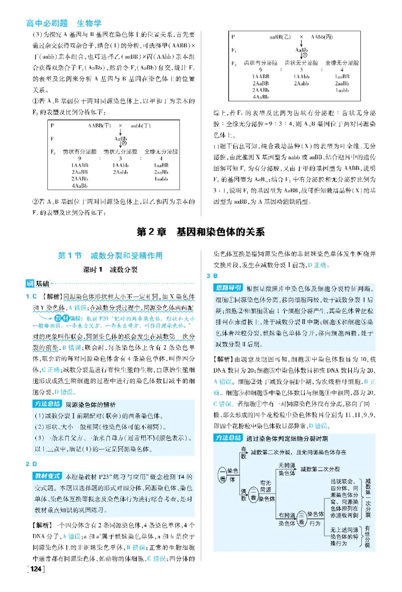 第2章基因和染色体的关系(1)_生物_2026版高中必刷题生物人教版_2026春高中必刷题生物必修2RJ_2026版高中《必刷题》教材同步版（生物）（必修2）