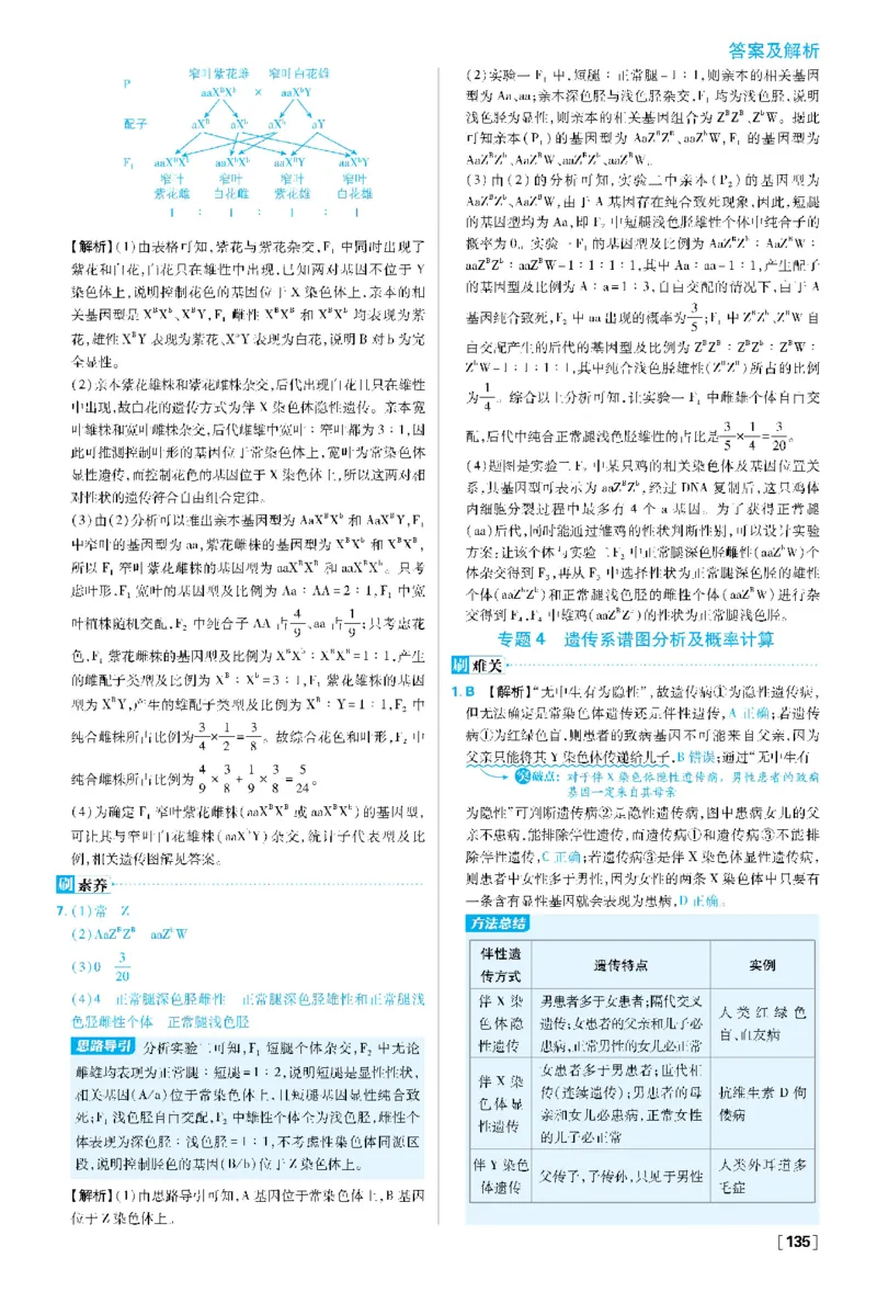 第2章基因和染色体的关系(1)_生物_2026版高中必刷题生物人教版_2026春高中必刷题生物必修2RJ_2026版高中《必刷题》教材同步版（生物）（必修2）