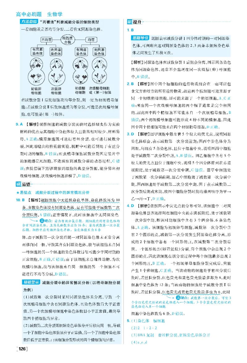 第2章基因和染色体的关系(1)_生物_2026版高中必刷题生物人教版_2026春高中必刷题生物必修2RJ_2026版高中《必刷题》教材同步版（生物）（必修2）