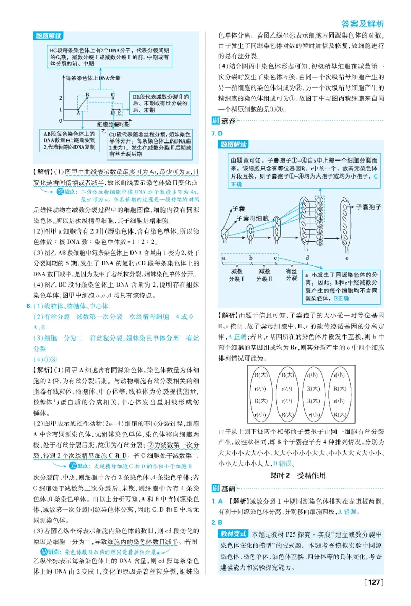 第2章基因和染色体的关系(1)_生物_2026版高中必刷题生物人教版_2026春高中必刷题生物必修2RJ_2026版高中《必刷题》教材同步版（生物）（必修2）