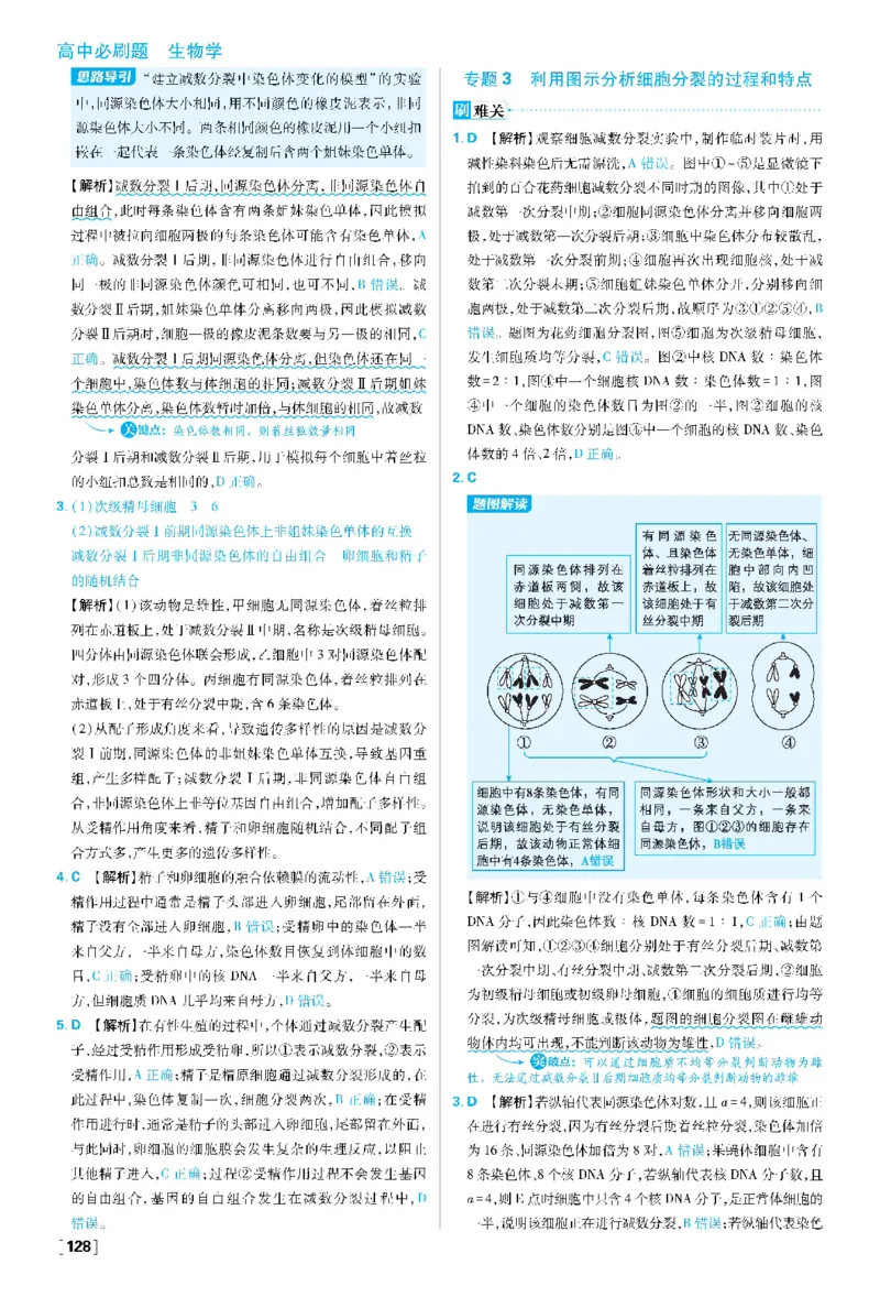 第2章基因和染色体的关系(1)_生物_2026版高中必刷题生物人教版_2026春高中必刷题生物必修2RJ_2026版高中《必刷题》教材同步版（生物）（必修2）